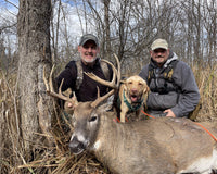 Cruising Bed Hunters