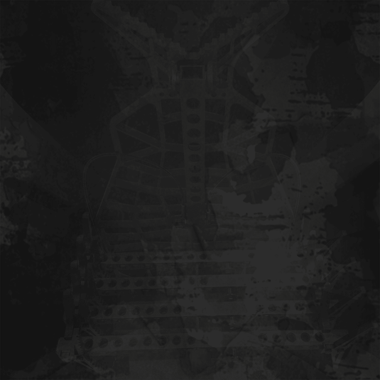 Why Beast Gear?