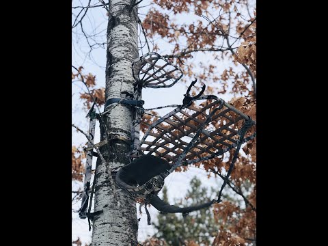 Load and play video in Gallery viewer, STEALTH STRIPS® TREESTAND KIT
