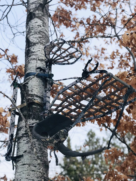 Beast Gear Stand and Climbing Sticks Review: All the Perks, Half