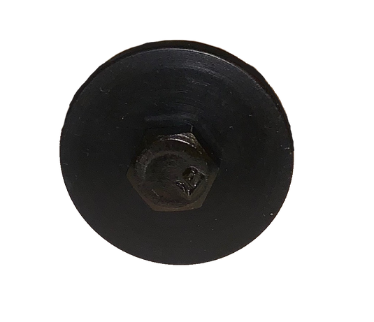 TS/CS BUTTON