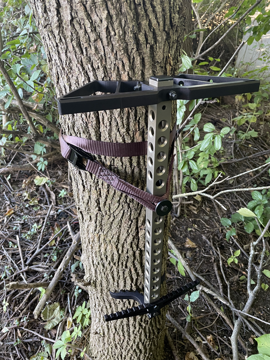 Saddled Raptor RAPTOR 12